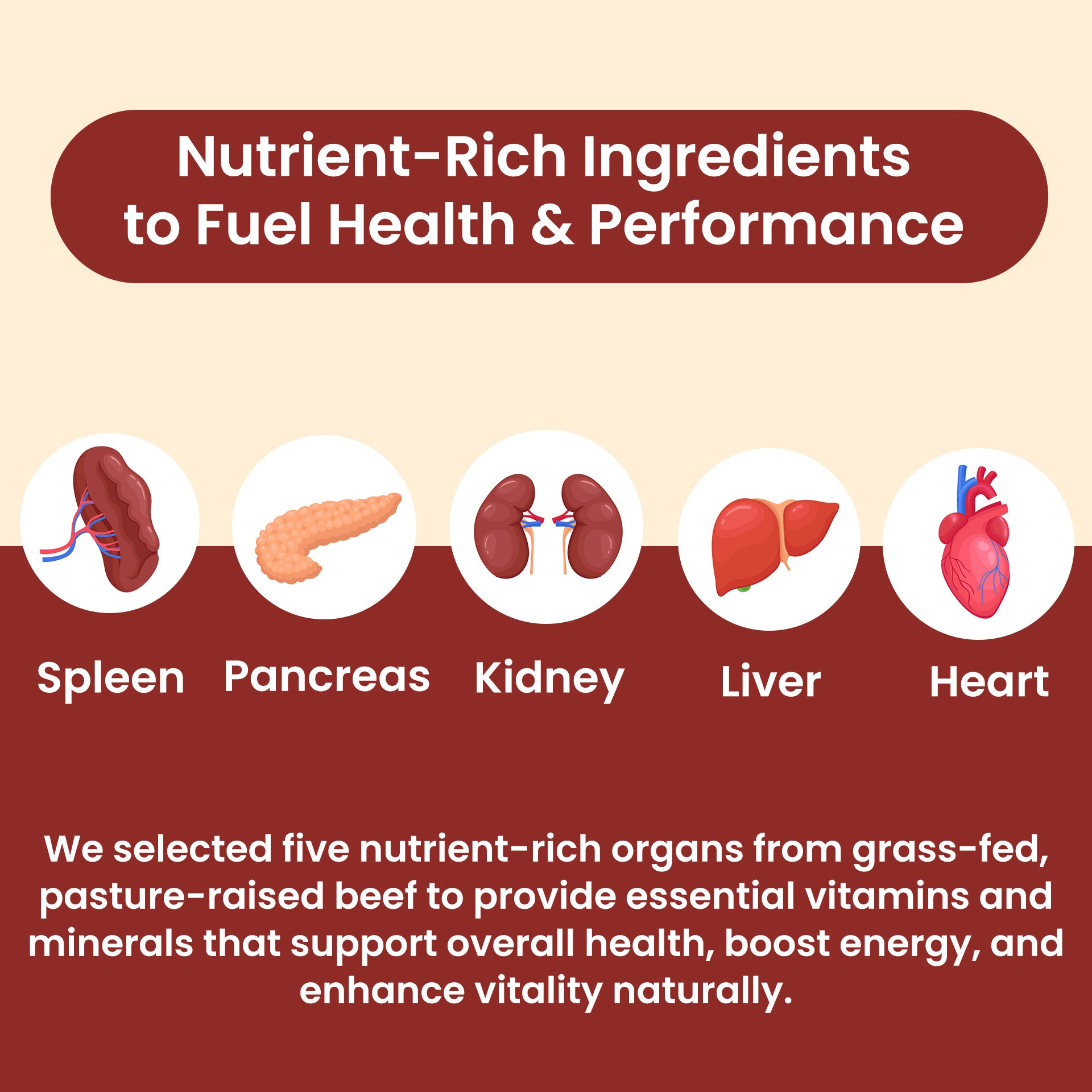 Beef Organs Superfood (2 Bottles)