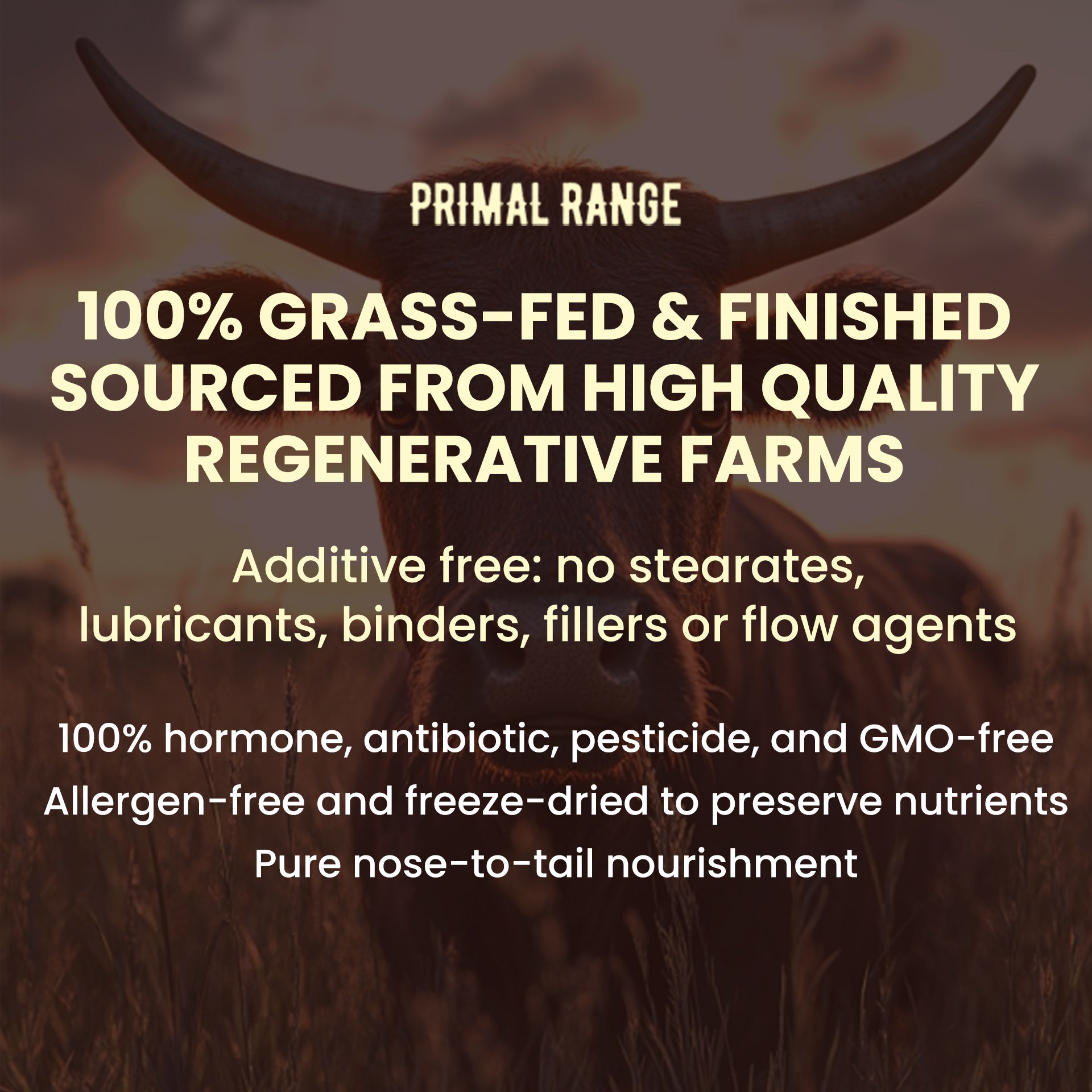 Beef Organs Superfood (2 Bottles)